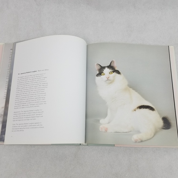 THE CAT'S PAJAMAS Cutest Cats Kitten Book - Picture 2 of 7